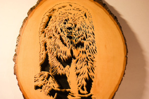 Grizzly Bear