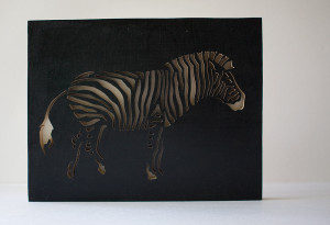 Zebra with black background