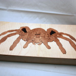Spider Puzzle