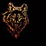 Wolf light