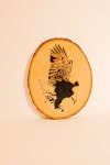 Bald eagle on tree round